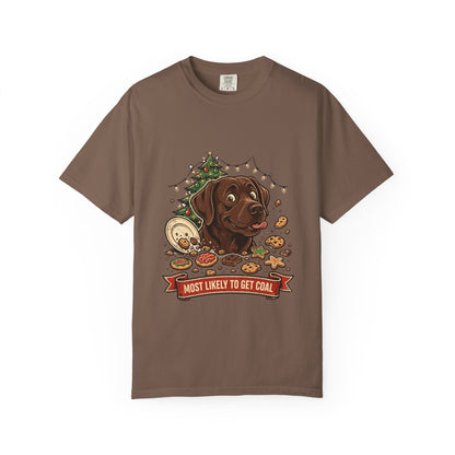 Labrador Retriever Most Likely To Get Coal Tee | Funny Christmas Dog Graphic Shirt