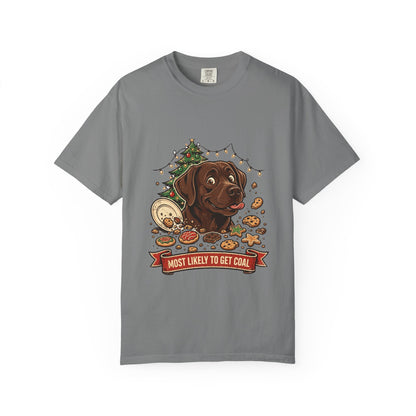 Labrador Retriever Most Likely To Get Coal Tee | Funny Christmas Dog Graphic Shirt