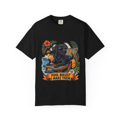 Labrador Retriever Pool Rules Tee | Funny Summer Dog Graphic Shirt
