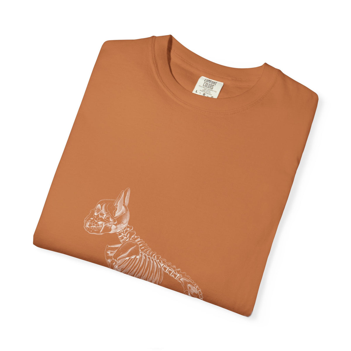 French Bulldog Skeleton Halloween Tee | Funny Anatomical Dog Shirt