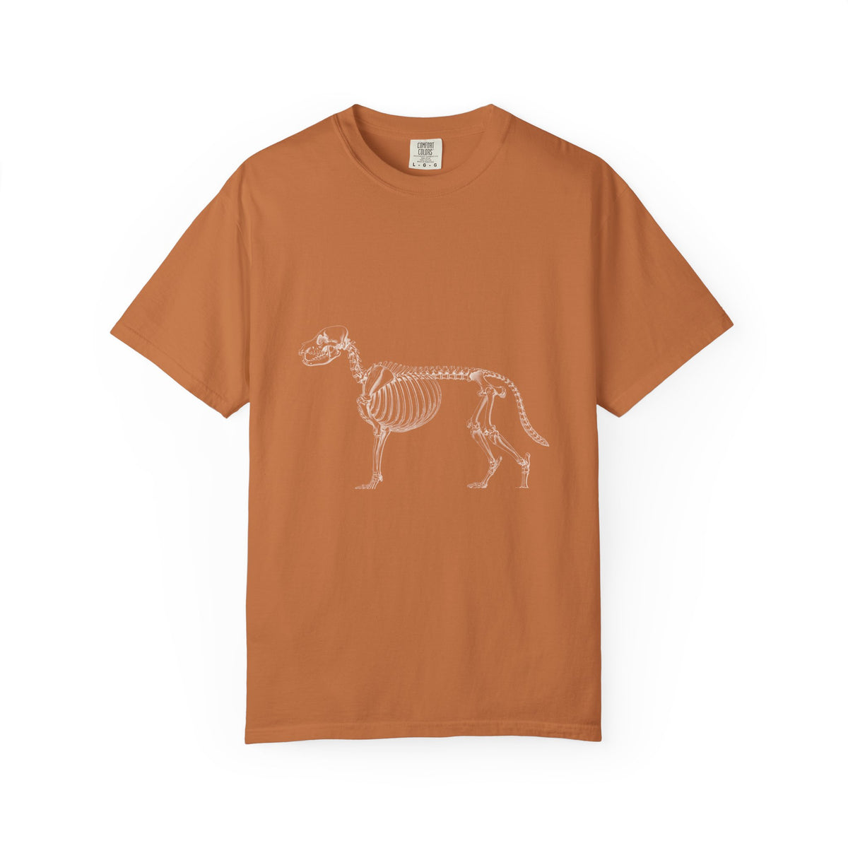 Labrador Retriever Skeleton Halloween Tee | Funny Anatomical Dog Shirt