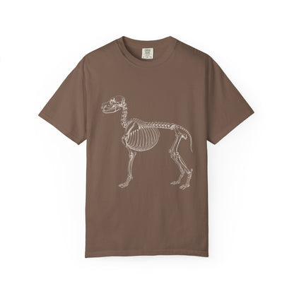 Golden Retriever Skeleton Halloween Tee | Funny Anatomical Dog Shirt