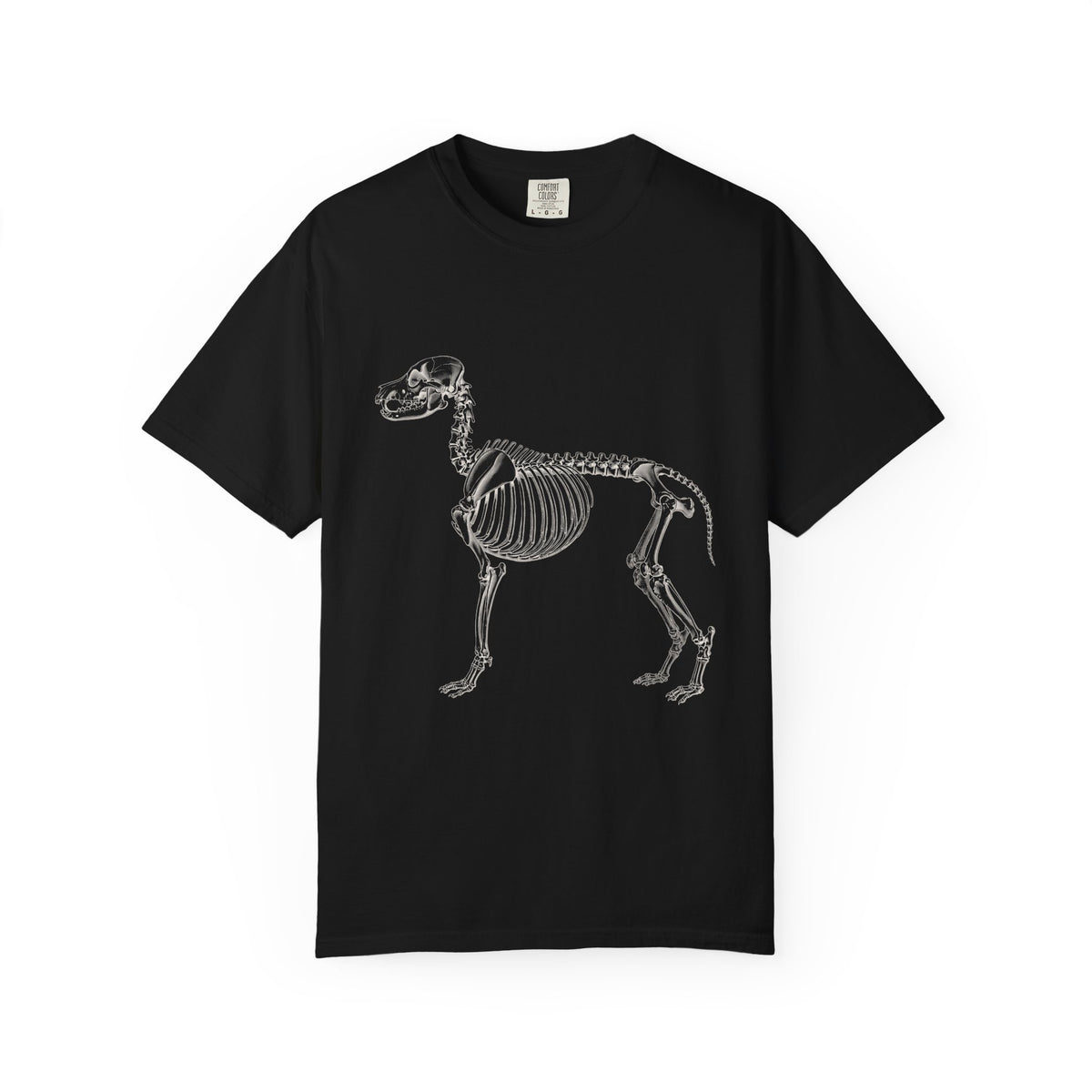 Golden Retriever Skeleton Halloween Tee | Funny Anatomical Dog Shirt