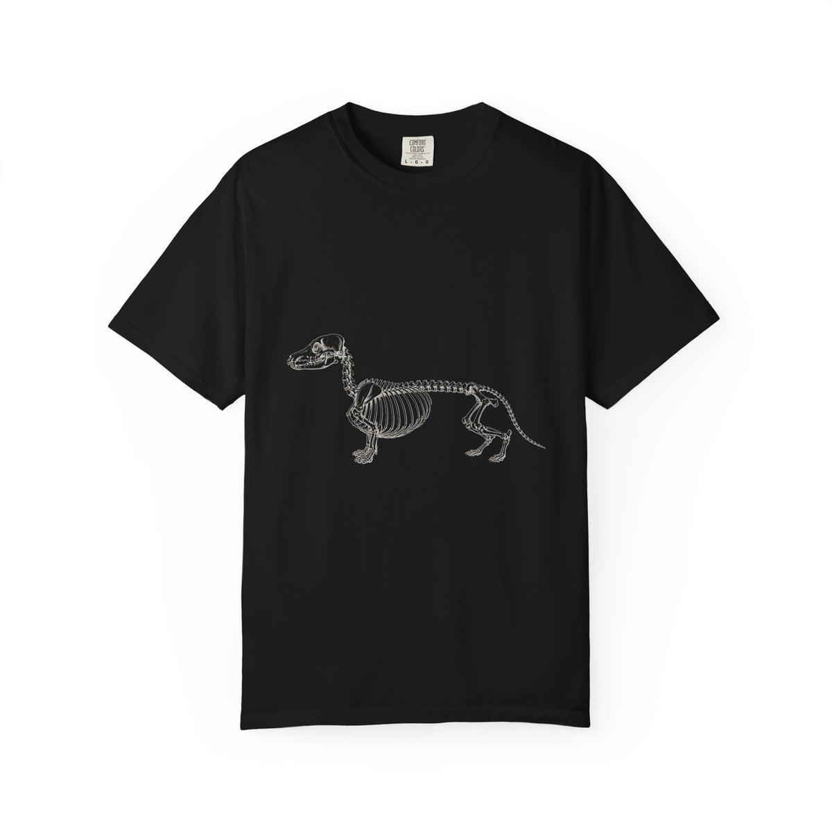 Dachshund Skeleton Halloween Tee | Funny Anatomical Dog Shirt