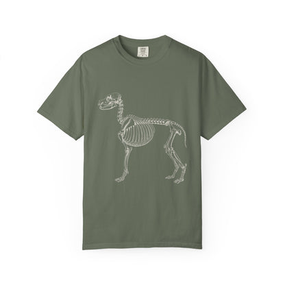 Golden Retriever Skeleton Halloween Tee | Funny Anatomical Dog Shirt