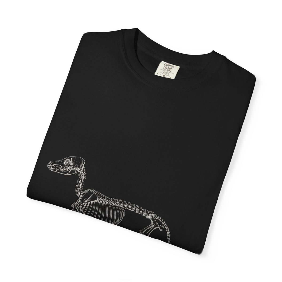 Dachshund Skeleton Halloween Tee | Funny Anatomical Dog Shirt