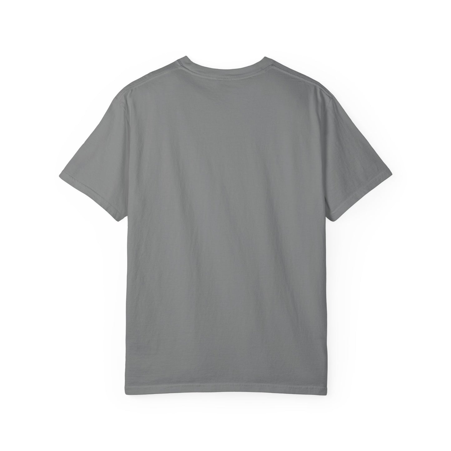 Labrador Retriever Tailgate Tee | Funny Fall Football Dog Shirt