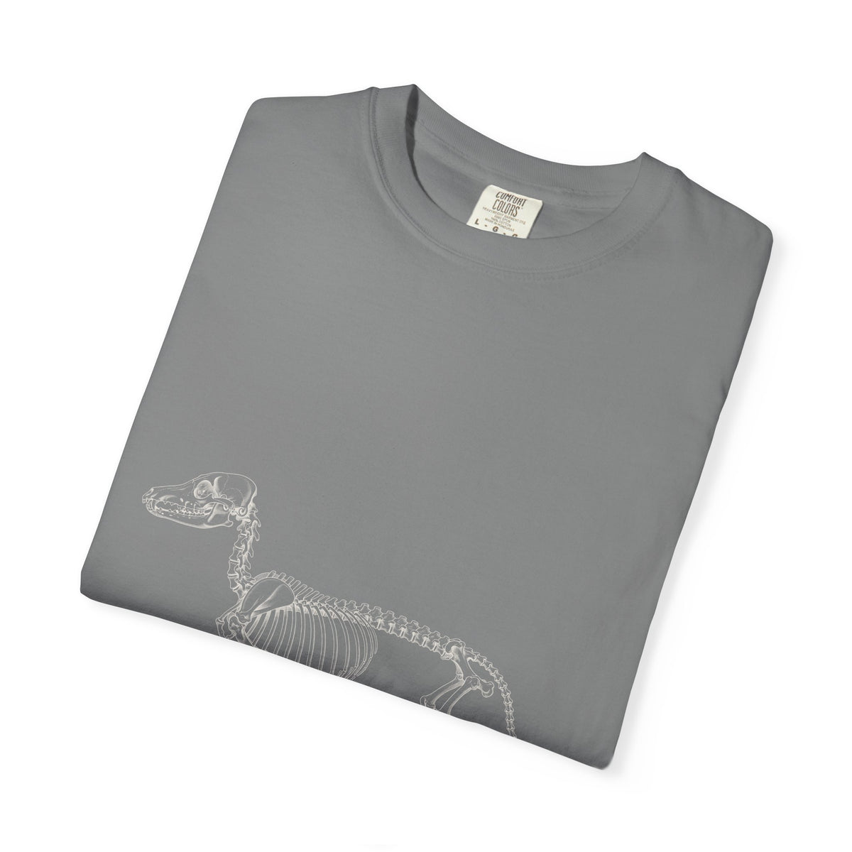 Dachshund Skeleton Halloween Tee | Funny Anatomical Dog Shirt