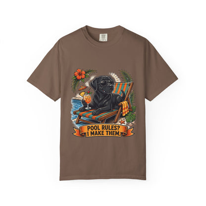 Labrador Retriever Pool Rules Tee | Funny Summer Dog Graphic Shirt